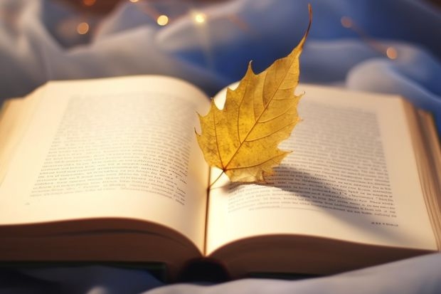 艺术类双学位可以跨专业吗