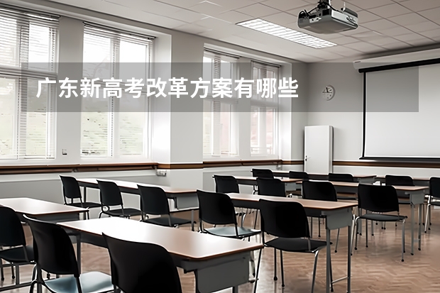 广东新高考改革方案有哪些