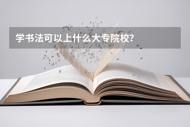 学书法可以上什么大专院校？