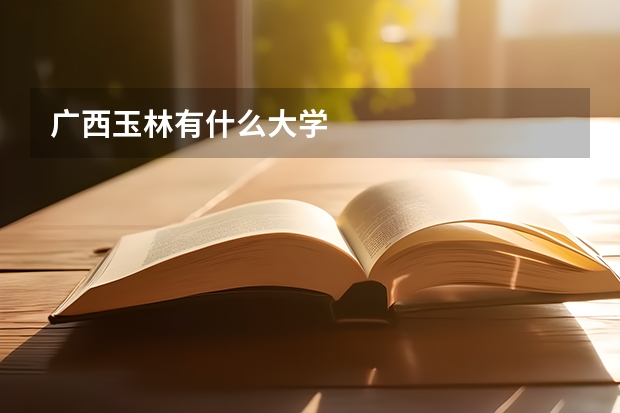 广西玉林有什么大学