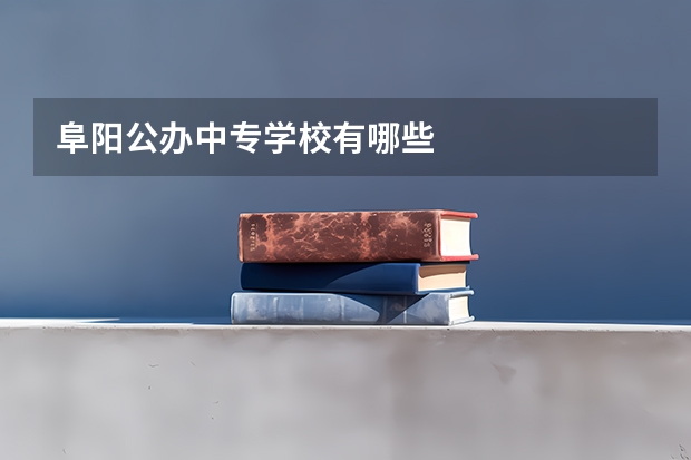 阜阳公办中专学校有哪些