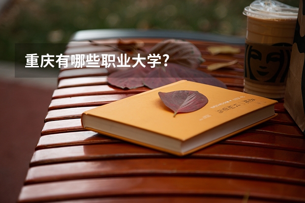 重庆有哪些职业大学?