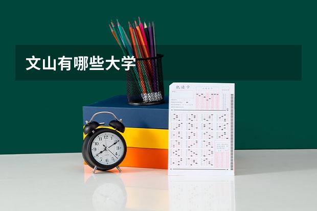 文山有哪些大学