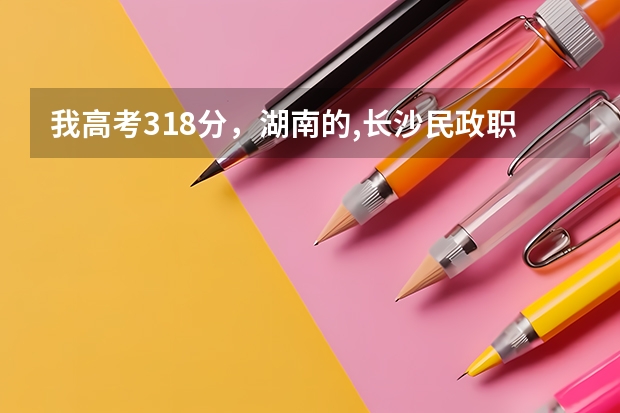 我高考318分,湖南的,长沙民政职业技术学院,能进吗