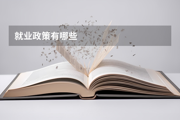 就业政策有哪些