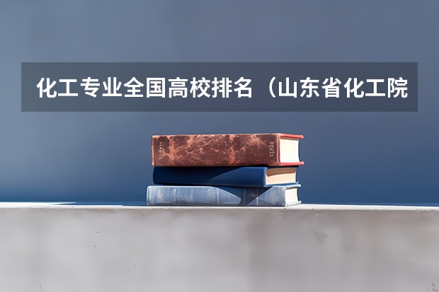 化工专业全国高校排名(山东省化工院校排名)