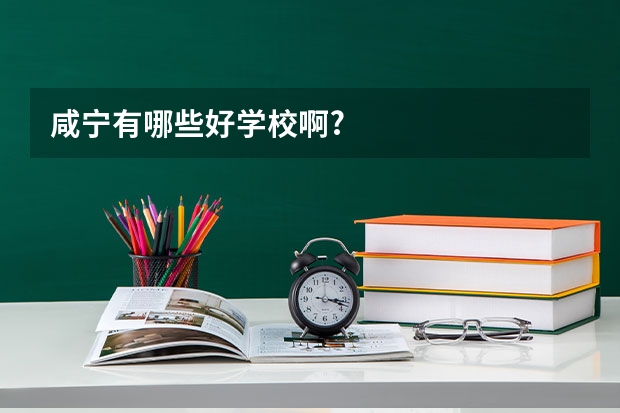 咸宁有哪些好学校啊?