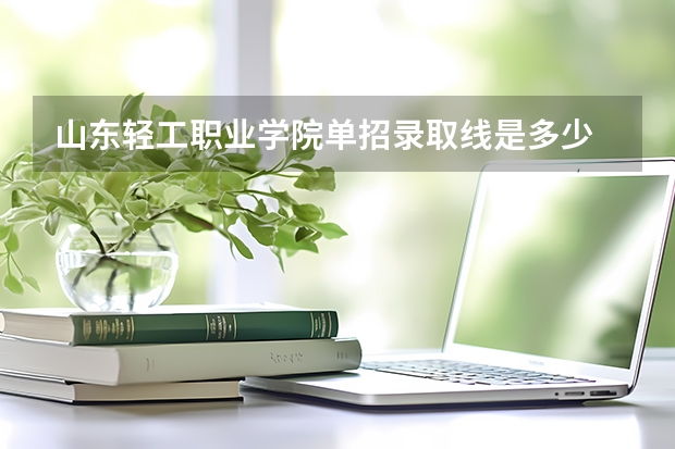 山东轻工职业学院单招录取线是多少