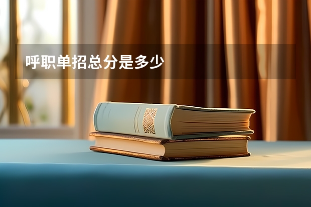 呼职单招总分是多少