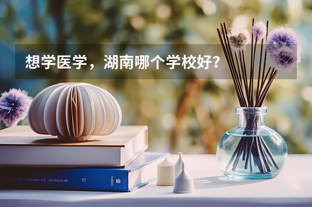 想学医学，湖南哪个学校好？