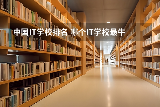 中国IT学校排名 哪个IT学校最牛？