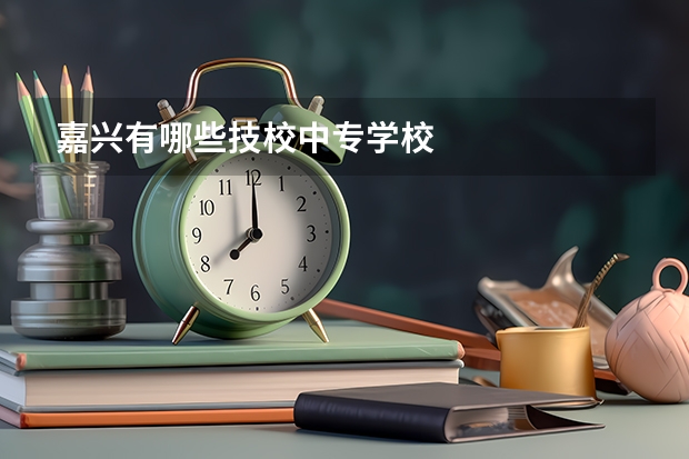 嘉兴有哪些技校中专学校