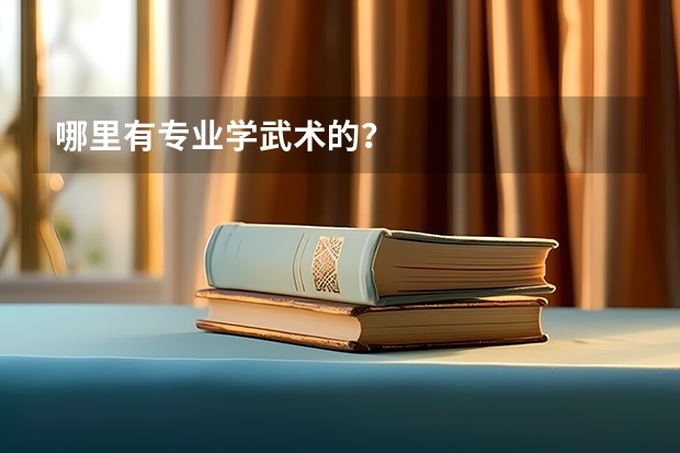 哪里有专业学武术的?