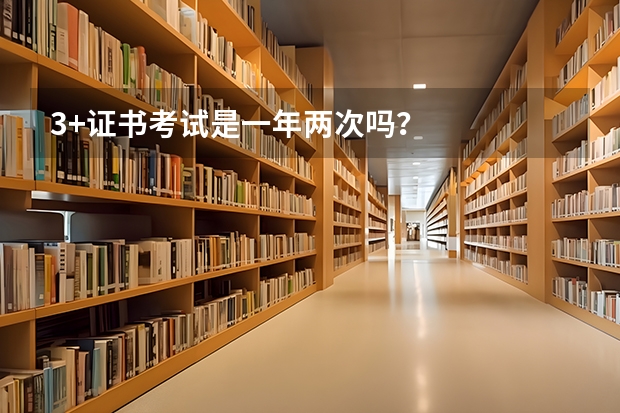 3+证书考试是一年两次吗？