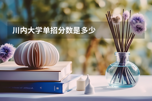 川内大学单招分数是多少