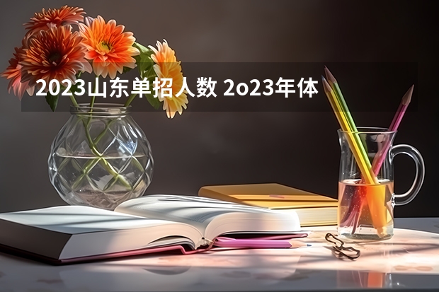 2023山东单招人数 2o23年体育足球单招总人数