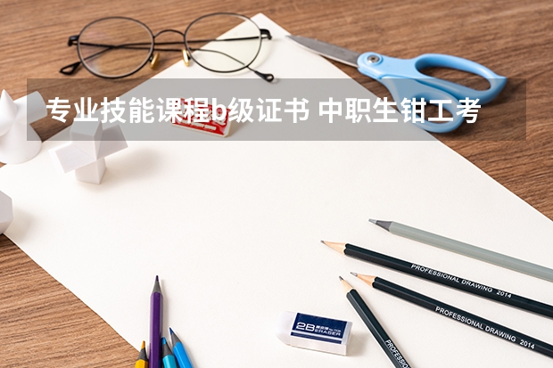 专业技能课程b级证书 中职生钳工考证理论不过可以单独考理论?