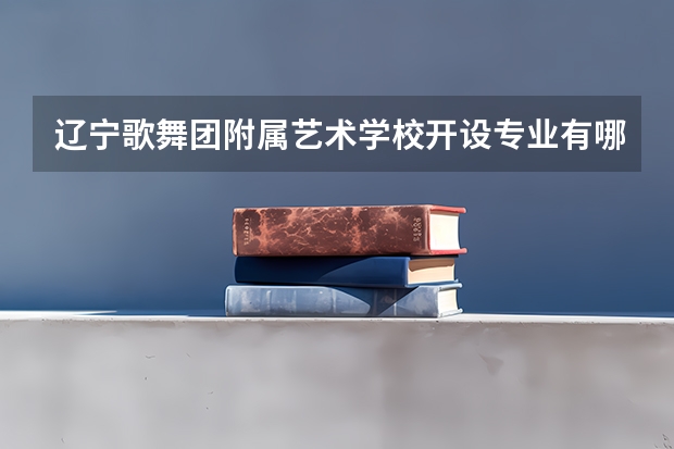 辽宁歌舞团附属艺术学校开设专业有哪些（专业招多少人） 