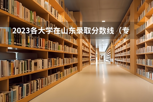 2023各大学在山东录取分数线（专科学校录取分数线2023）