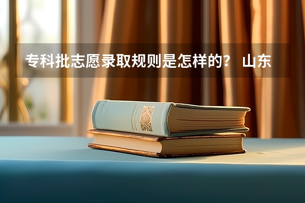 专科批志愿录取规则是怎样的？ 山东高考志愿录取规则