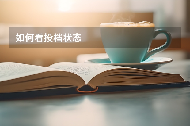 如何看投档状态