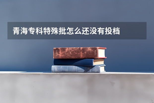 青海专科特殊批怎么还没有投档