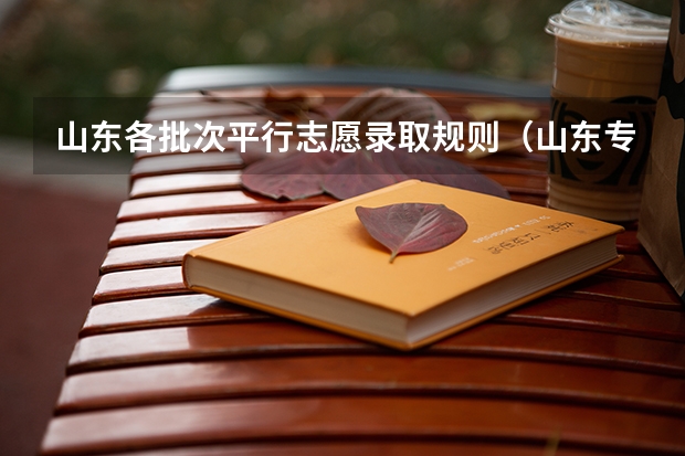 山东各批次平行志愿录取规则（山东专科提前批次填报时间）