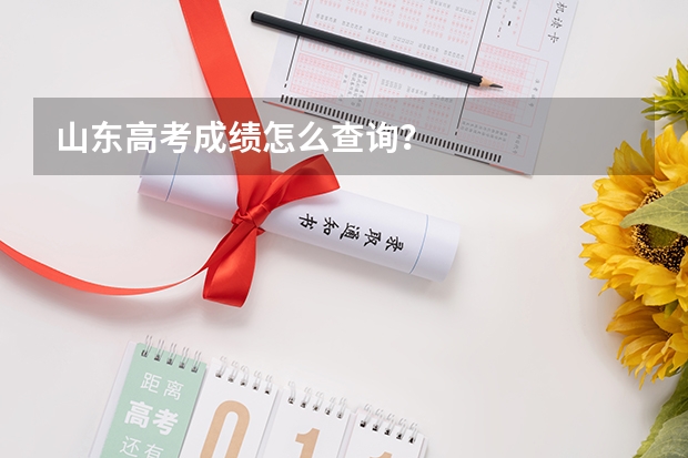 山东高考成绩怎么查询?