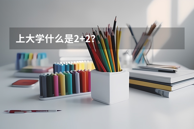 上大学什么是2+2?