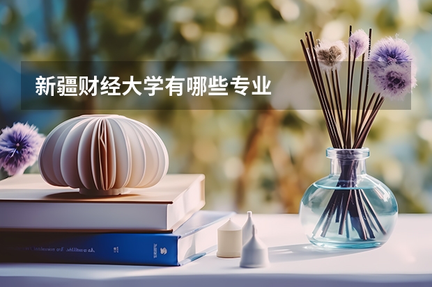 新疆财经大学有哪些专业