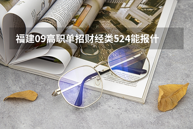 福建09高职单招财经类524能报什么学校?