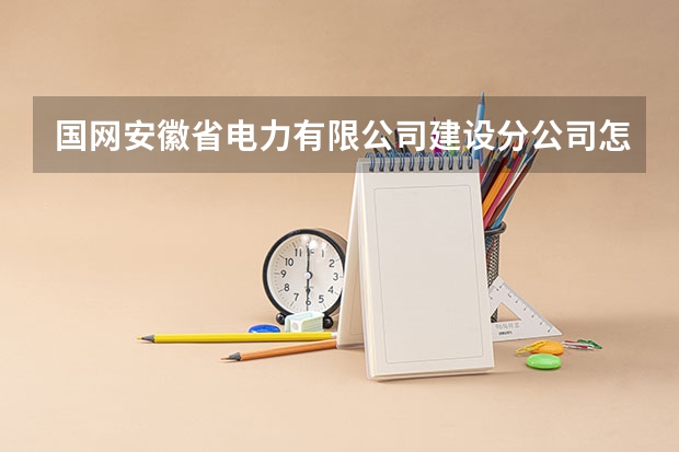 国网安徽省电力有限公司建设分公司怎么样？