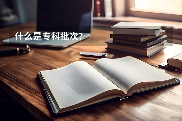 什么是专科批次？