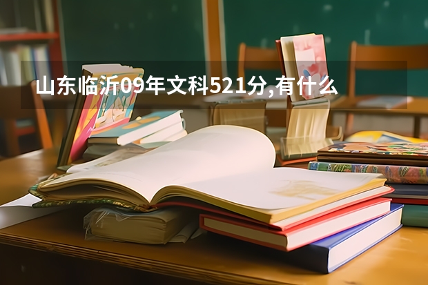 山东临沂09年文科521分,有什么比较好的的专科可以上,省外也行,只要公办的就行