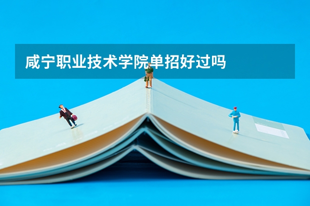 咸宁职业技术学院单招好过吗