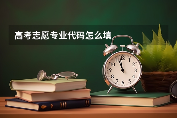 高考志愿专业代码怎么填