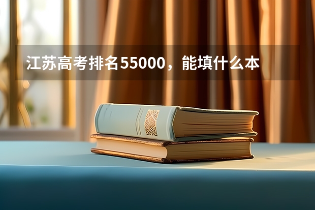 江苏高考排名55000，能填什么本二院校