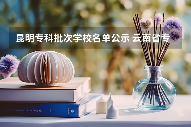 昆明专科批次学校名单公示 云南省专科学校排名