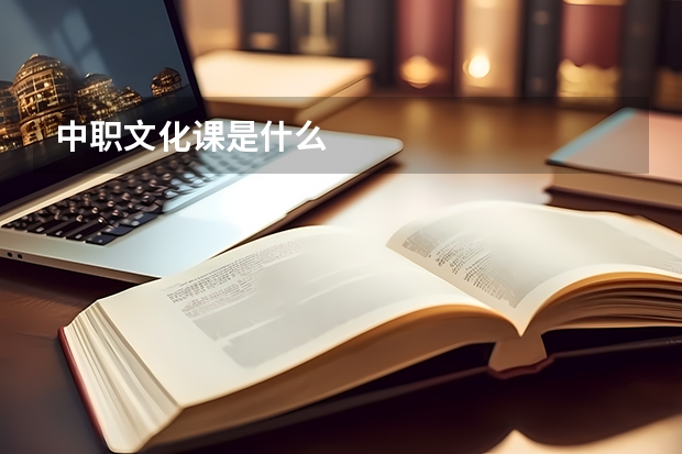 中职文化课是什么
