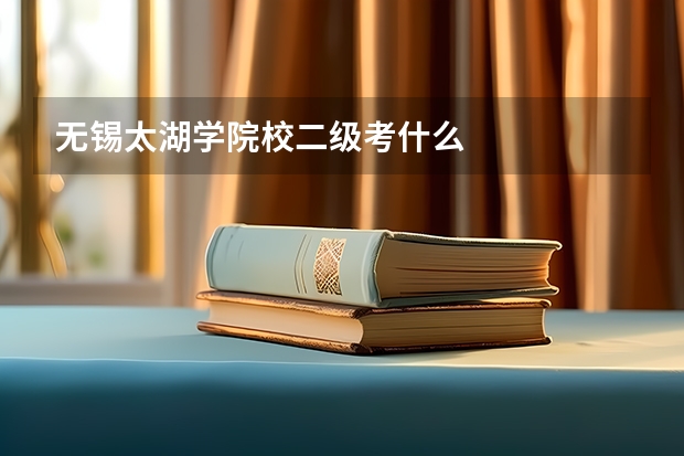 无锡太湖学院校二级考什么