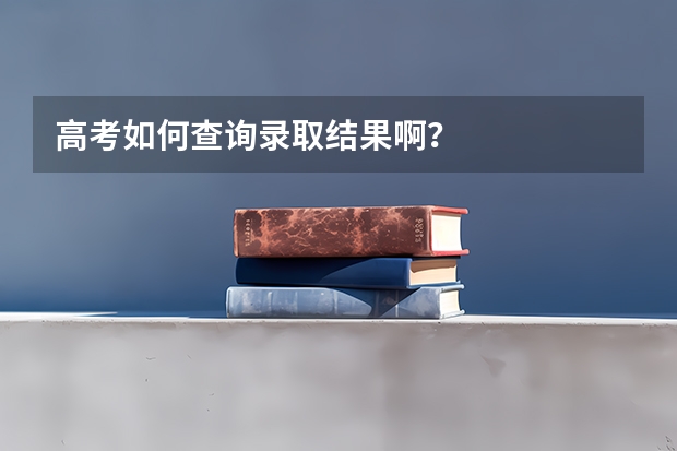 高考如何查询录取结果啊?