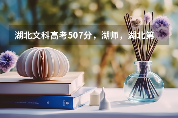 湖北文科高考507分，湖师，湖北第二师范学院，湖北经济学院，江汉大学，武汉科技学院哪个学校好些？