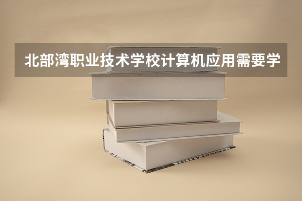 北部湾职业技术学校计算机应用需要学哪些课程（专业能力要求）