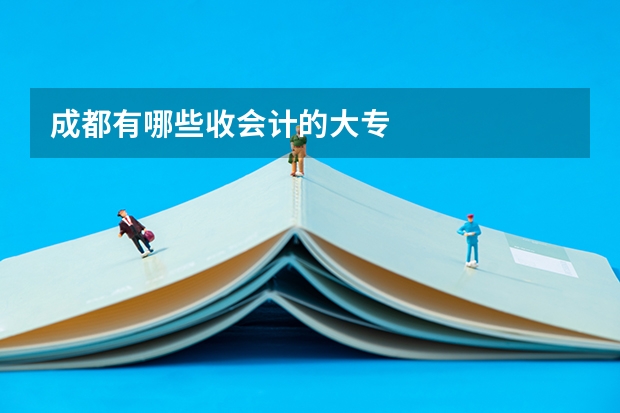 成都有哪些收会计的大专