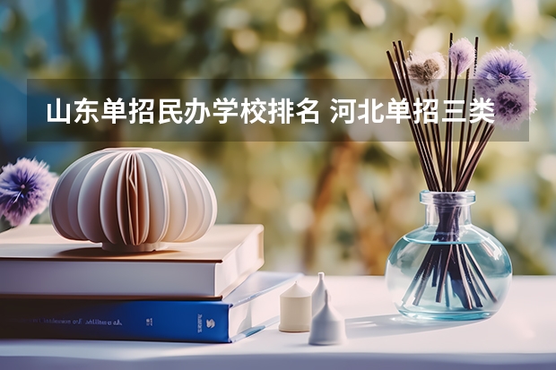 山东单招民办学校排名 河北单招三类学校排名
