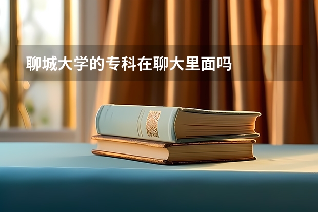 聊城大学的专科在聊大里面吗