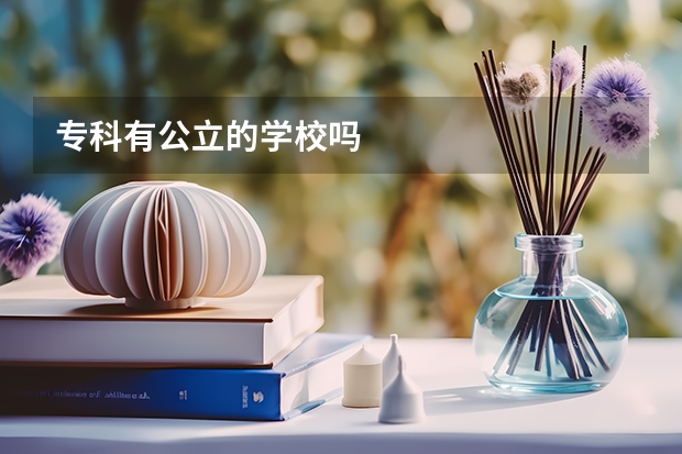 专科有公立的学校吗