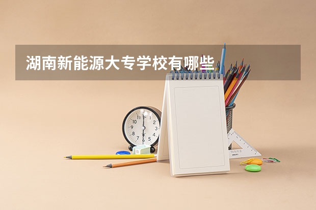湖南新能源大专学校有哪些