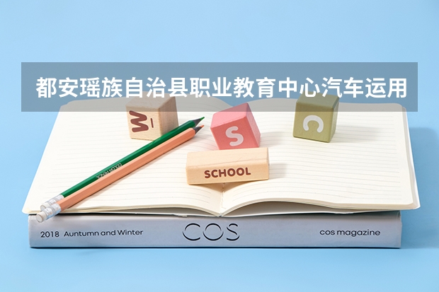 都安瑶族自治县职业教育中心汽车运用与维修培养目标定位（证书介绍）