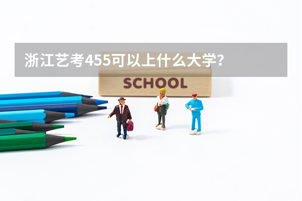 浙江艺考455可以上什么大学?
